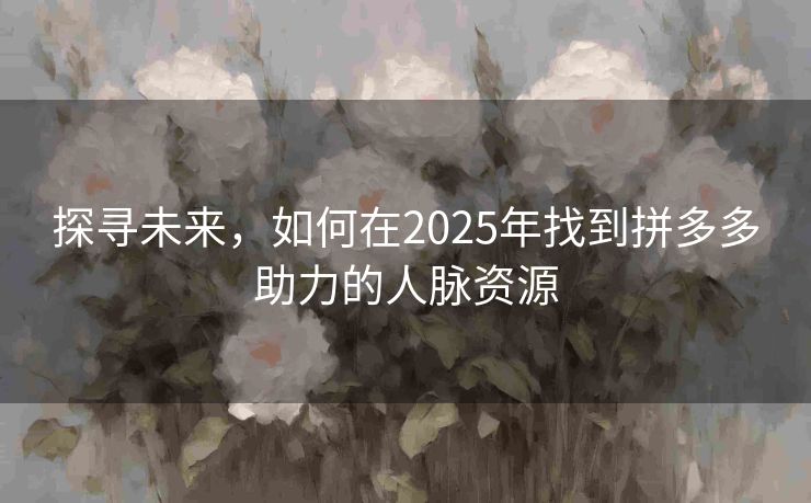 探寻未来，如何在2025年找到拼多多助力的人脉资源