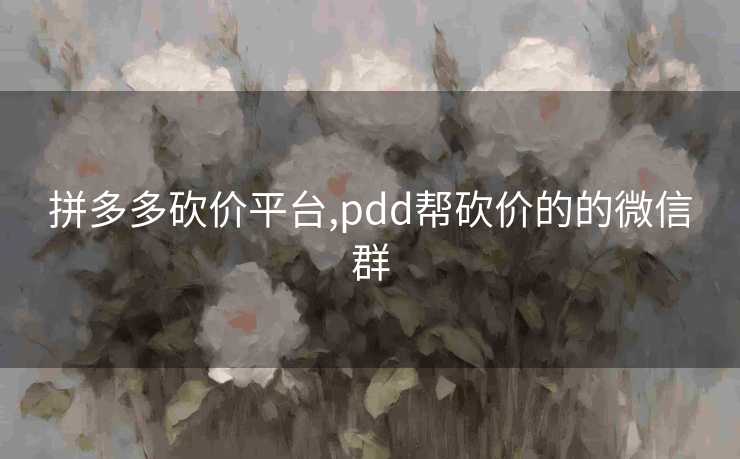 拼多多砍价平台,pdd帮砍价的的微信群