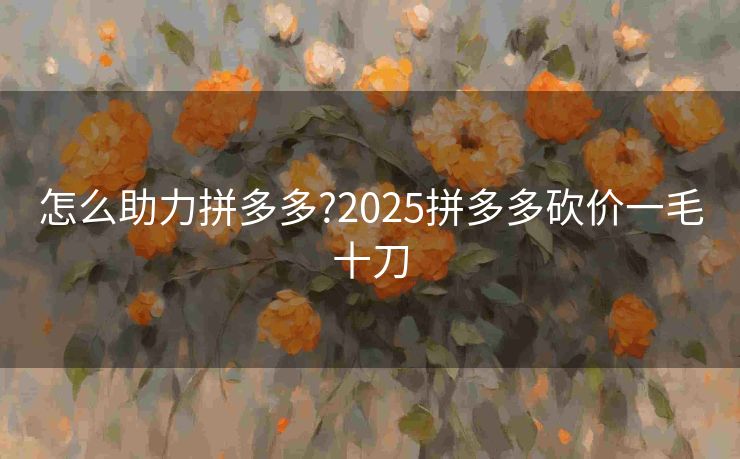 怎么助力拼多多?2025拼多多砍价一毛十刀