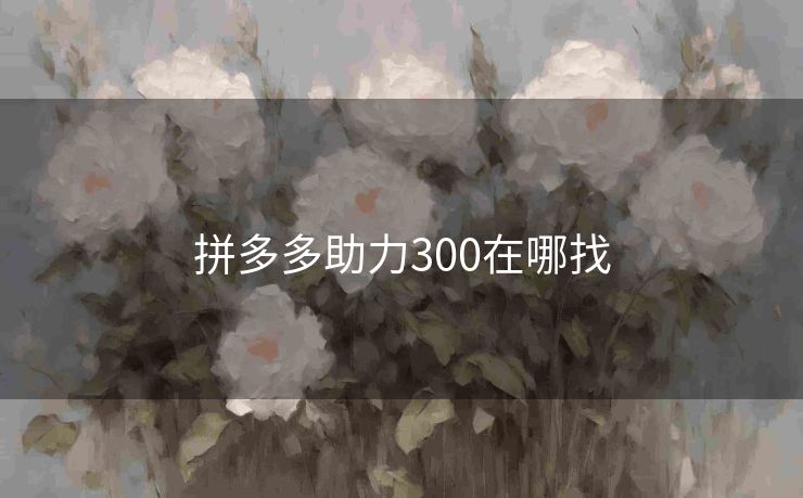 拼多多助力300在哪找