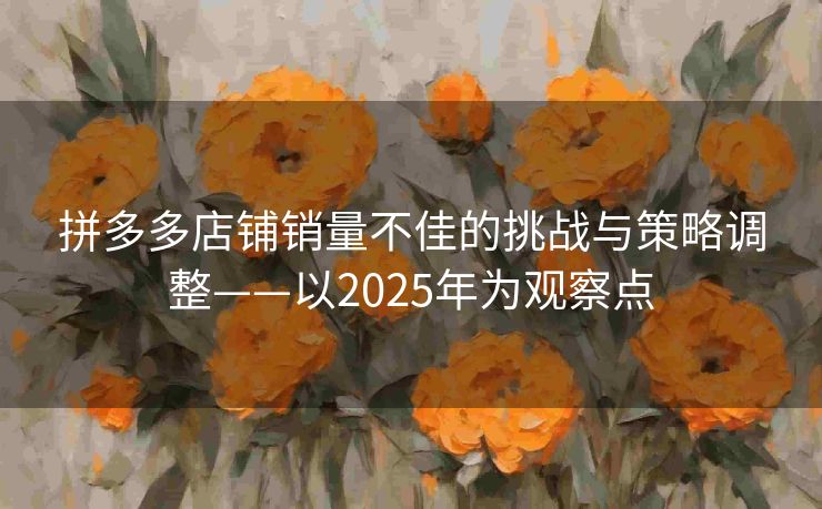 拼多多店铺销量不佳的挑战与策略调整——以2025年为观察点