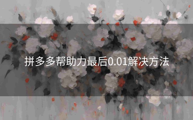拼多多帮助力最后0.01解决方法