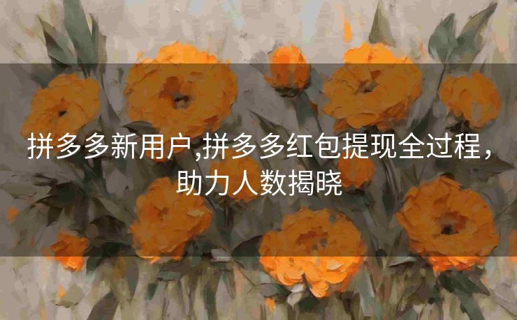 拼多多新用户,拼多多红包提现全过程，助力人数揭晓