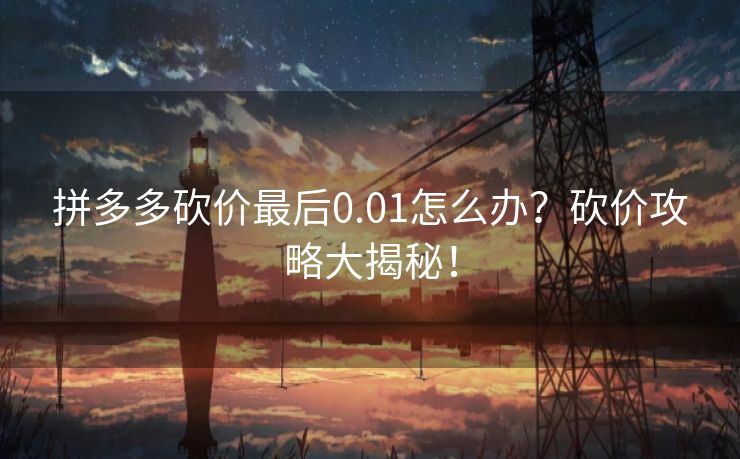 拼多多砍价最后0.01怎么办？砍价攻略大揭秘！