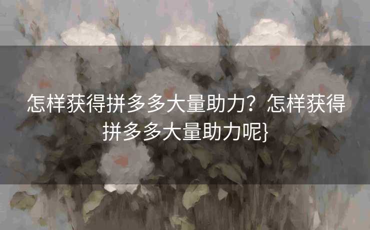 怎样获得拼多多大量助力？怎样获得拼多多大量助力呢}