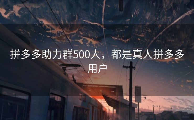 拼多多助力群500人，都是真人拼多多用户