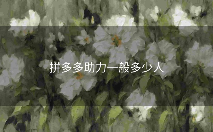 拼多多助力一般多少人