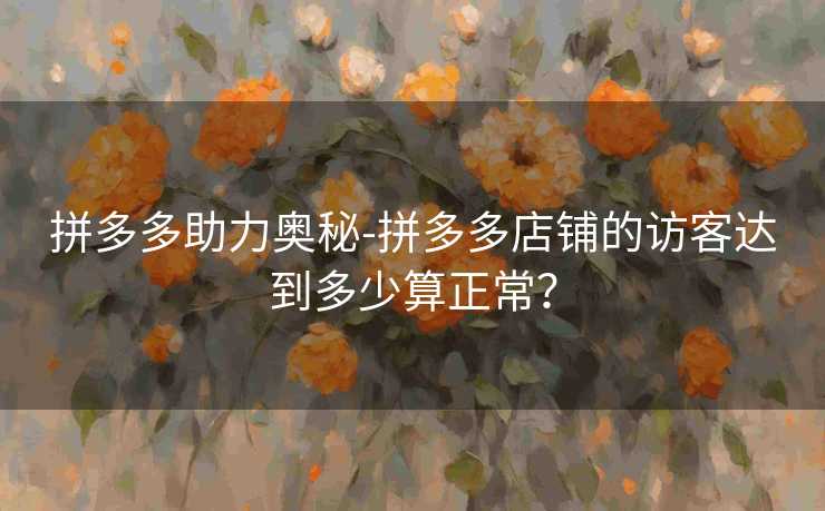 拼多多助力奥秘-拼多多店铺的访客达到多少算正常？