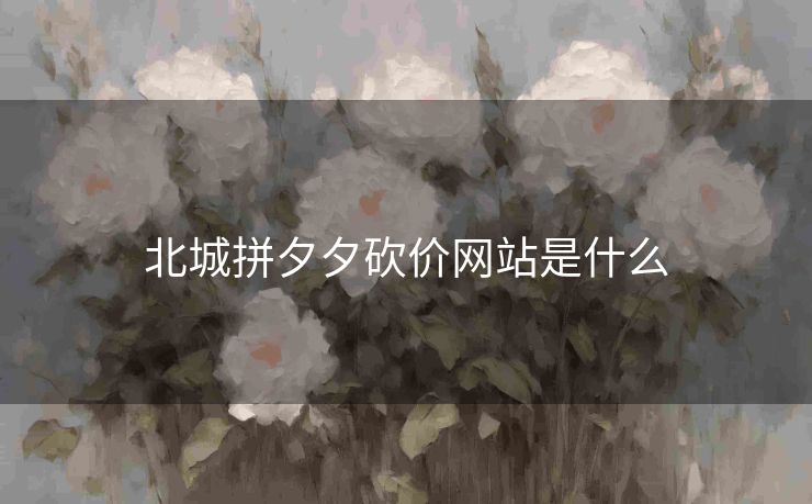 北城拼夕夕砍价网站是什么