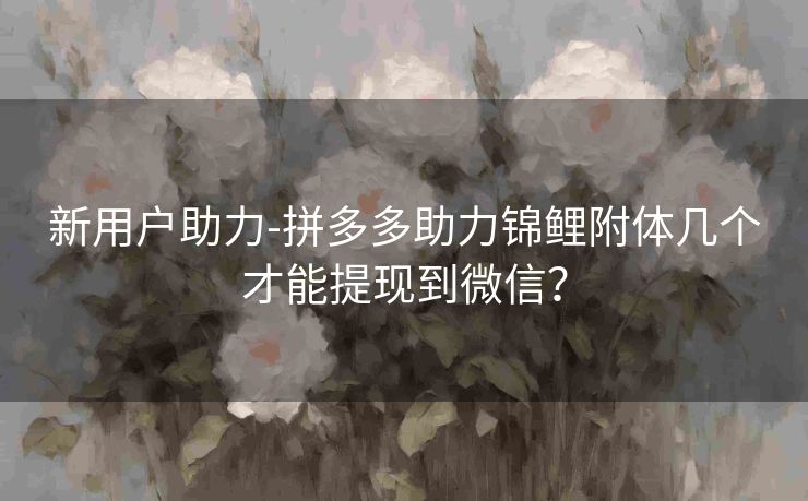 新用户助力-拼多多助力锦鲤附体几个才能提现到微信？