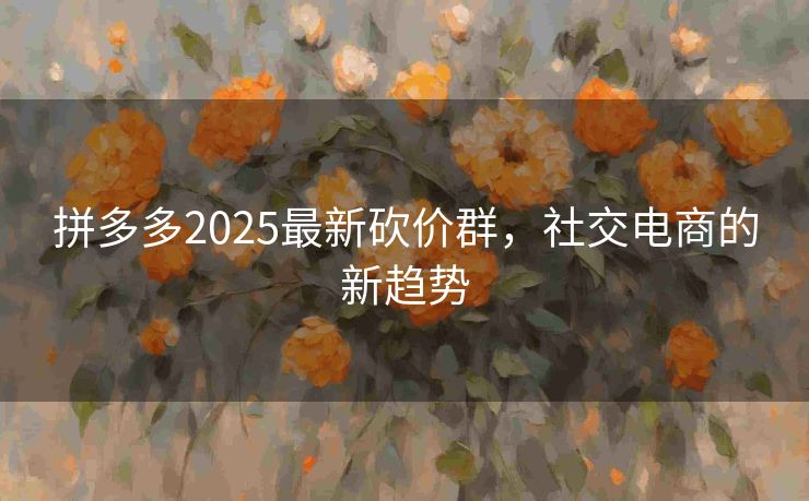 拼多多2025最新砍价群，社交电商的新趋势