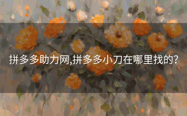 拼多多助力网,拼多多小刀在哪里找的？