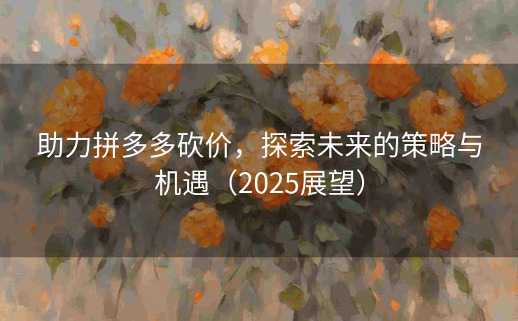 助力拼多多砍价，探索未来的策略与机遇（2025展望）