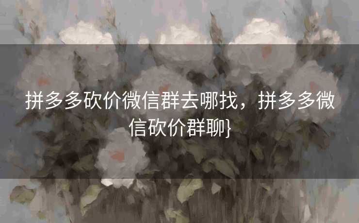 拼多多砍价微信群去哪找，拼多多微信砍价群聊}