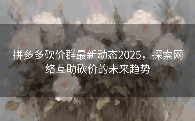 拼多多砍价群最新动态2025，探索网络互助砍价的未来趋势