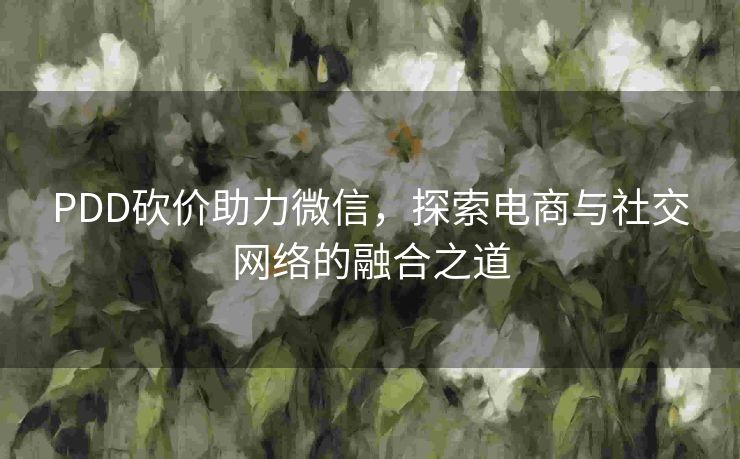 PDD砍价助力微信，探索电商与社交网络的融合之道
