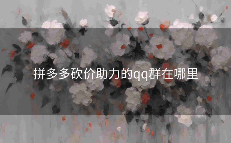 拼多多砍价助力的qq群在哪里