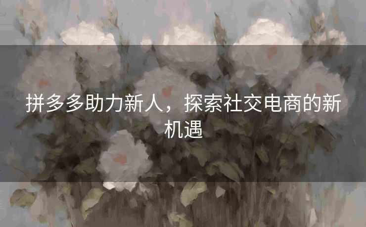 拼多多助力新人，探索社交电商的新机遇