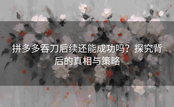 拼多多吞刀后续还能成功吗？探究背后的真相与策略