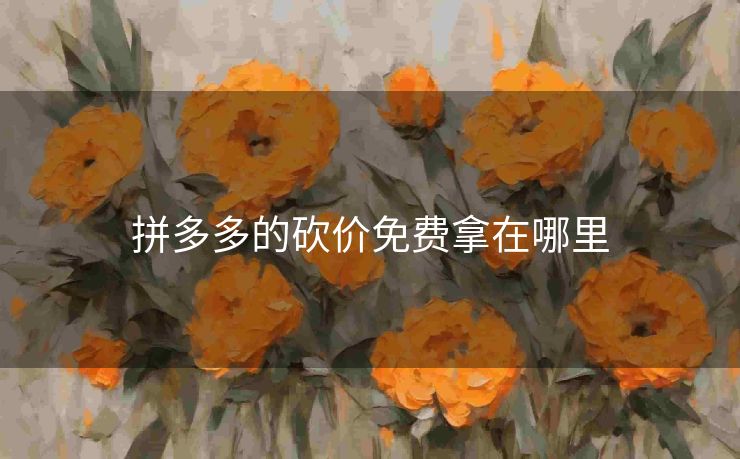 拼多多的砍价免费拿在哪里