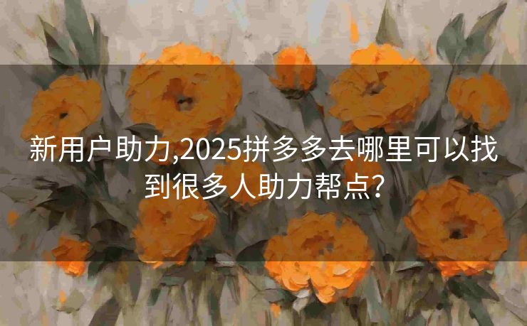 新用户助力,2025拼多多去哪里可以找到很多人助力帮点？