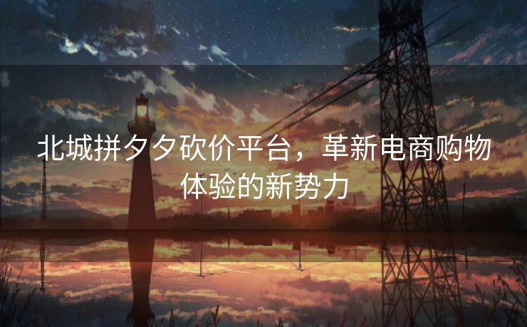 北城拼夕夕砍价平台，革新电商购物体验的新势力