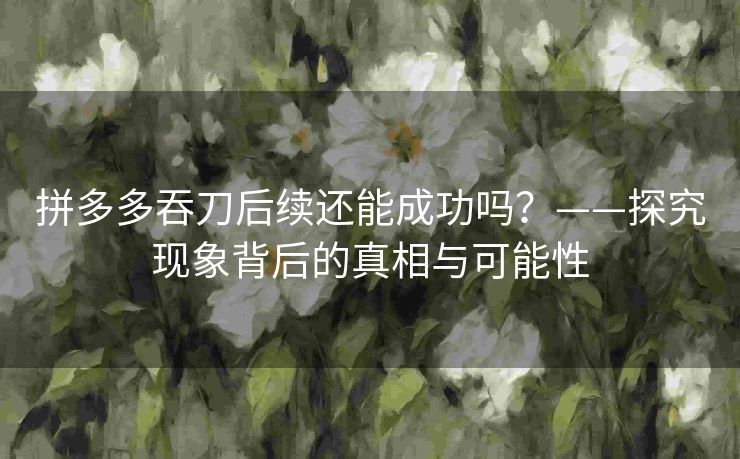 拼多多吞刀后续还能成功吗？——探究现象背后的真相与可能性