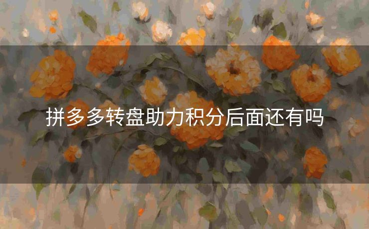 拼多多转盘助力积分后面还有吗