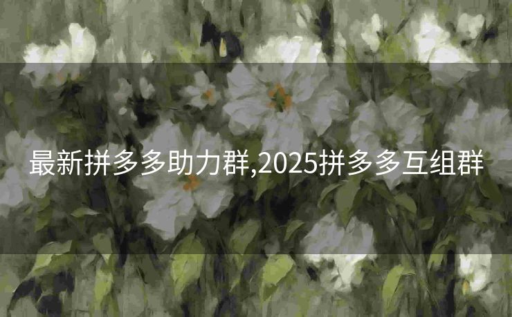 最新拼多多助力群,2025拼多多互组群