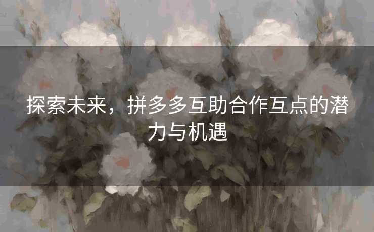 探索未来，拼多多互助合作互点的潜力与机遇