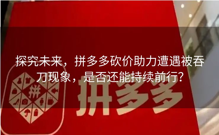 探究未来，拼多多砍价助力遭遇被吞刀现象，是否还能持续前行？