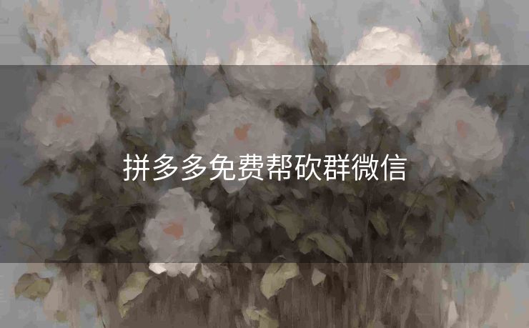 拼多多免费帮砍群微信