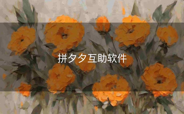 拼夕夕互助软件