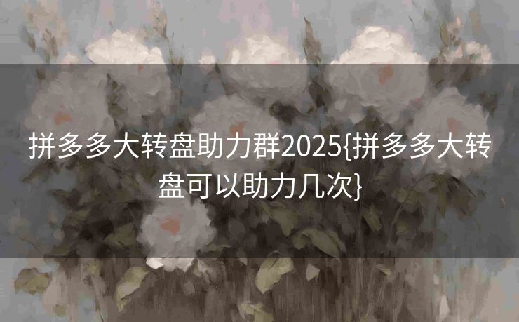 拼多多大转盘助力群2025{拼多多大转盘可以助力几次}