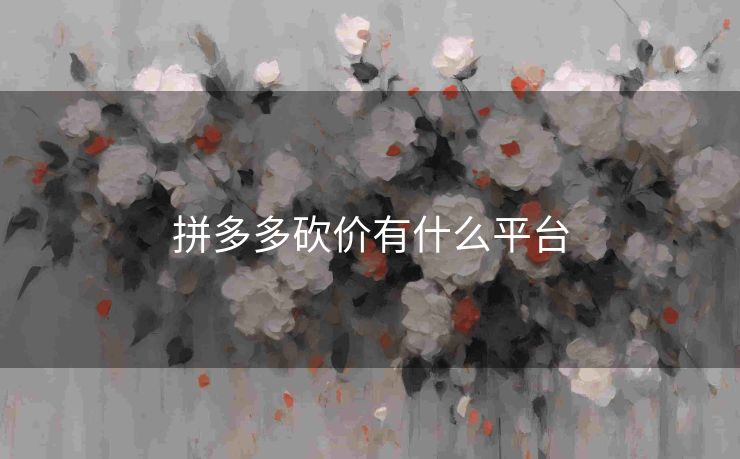 拼多多砍价有什么平台