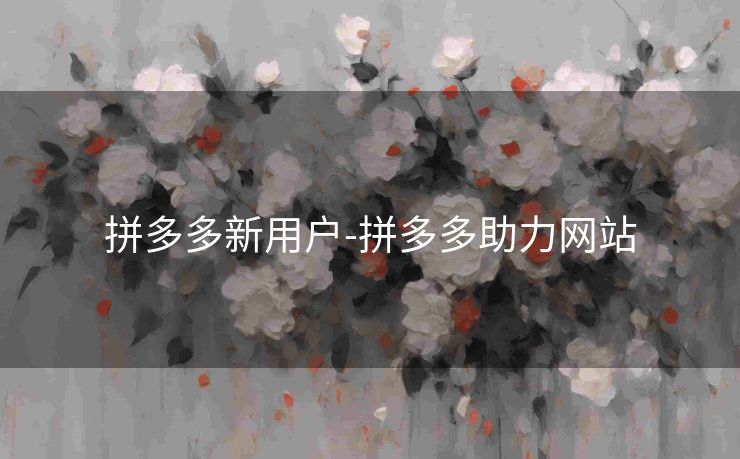 拼多多新用户-拼多多助力网站