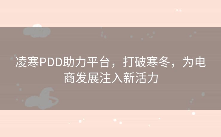 凌寒PDD助力平台，打破寒冬，为电商发展注入新活力