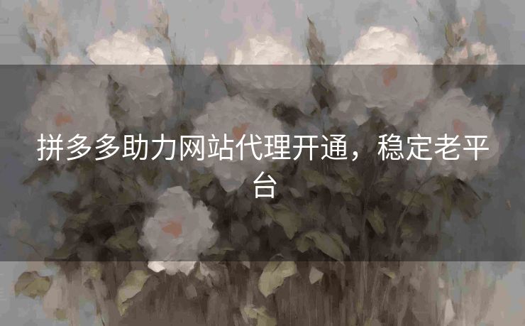 拼多多助力网站代理开通，稳定老平台