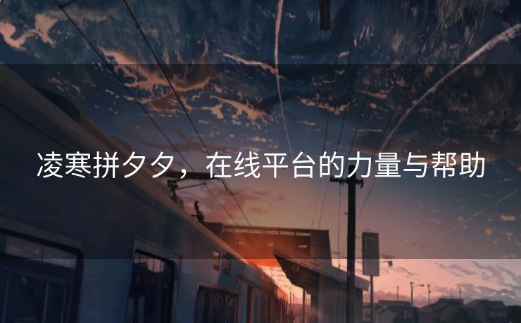 凌寒拼夕夕，在线平台的力量与帮助