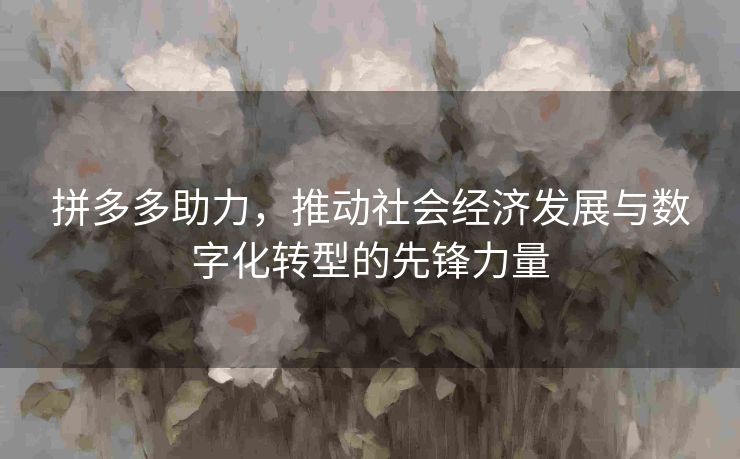 拼多多助力，推动社会经济发展与数字化转型的先锋力量