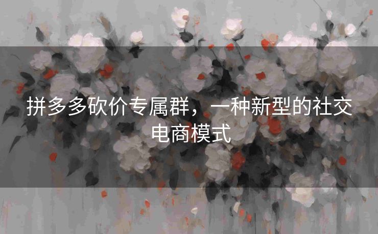 拼多多砍价专属群，一种新型的社交电商模式