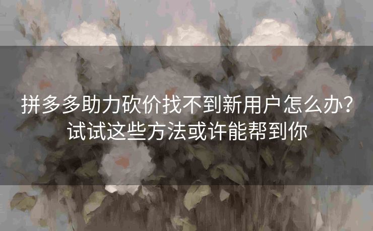 拼多多助力砍价找不到新用户怎么办？试试这些方法或许能帮到你