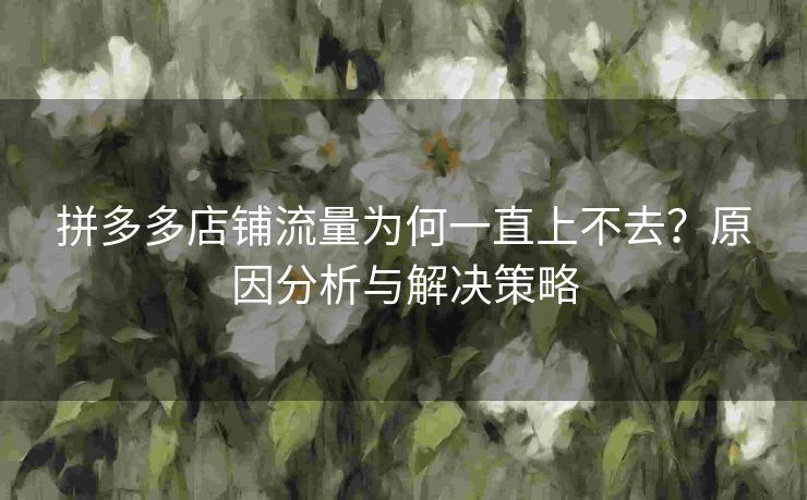 拼多多店铺流量为何一直上不去？原因分析与解决策略