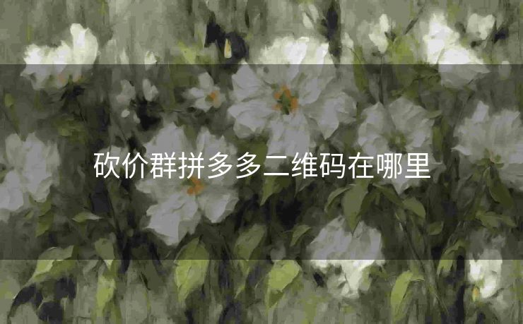 砍价群拼多多二维码在哪里