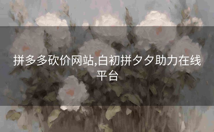 拼多多砍价网站,白初拼夕夕助力在线平台