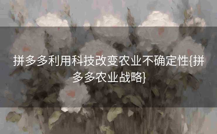 拼多多利用科技改变农业不确定性{拼多多农业战略}