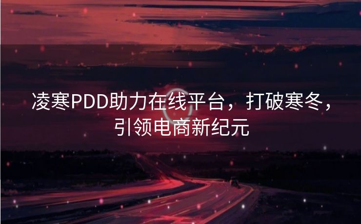 凌寒PDD助力在线平台，打破寒冬，引领电商新纪元