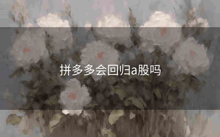 拼多多会回归a股吗