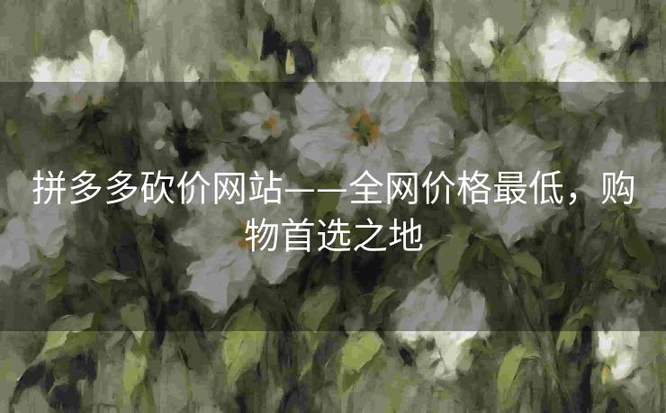 拼多多砍价网站——全网价格最低，购物首选之地