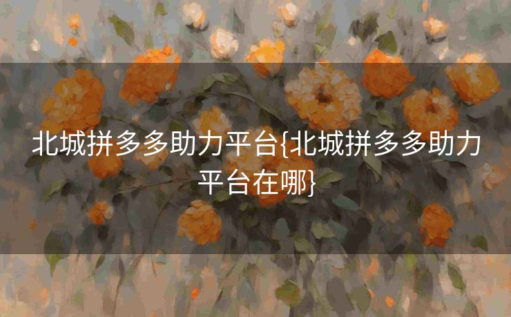 北城拼多多助力平台{北城拼多多助力平台在哪}